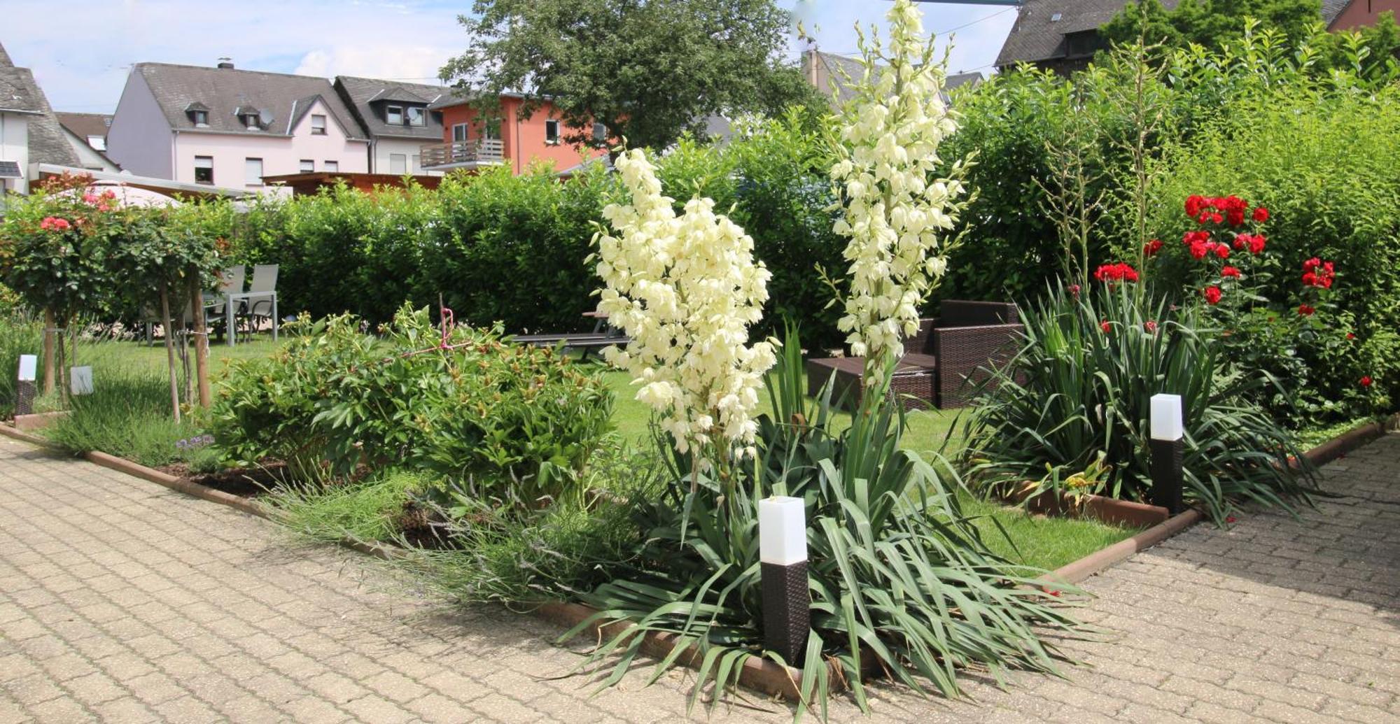 Gaestehaus Koen - Fewo Farfalle Zeltingen-Rachtig Bagian luar foto